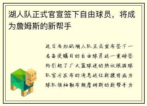 湖人队正式官宣签下自由球员，将成为詹姆斯的新帮手